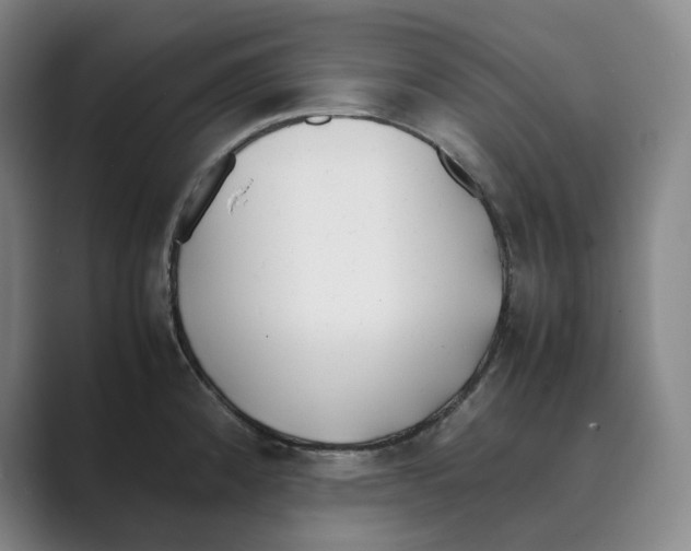 X0000088681192200706281936