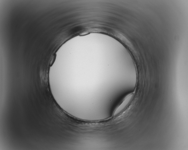 X0000088681193200706281936