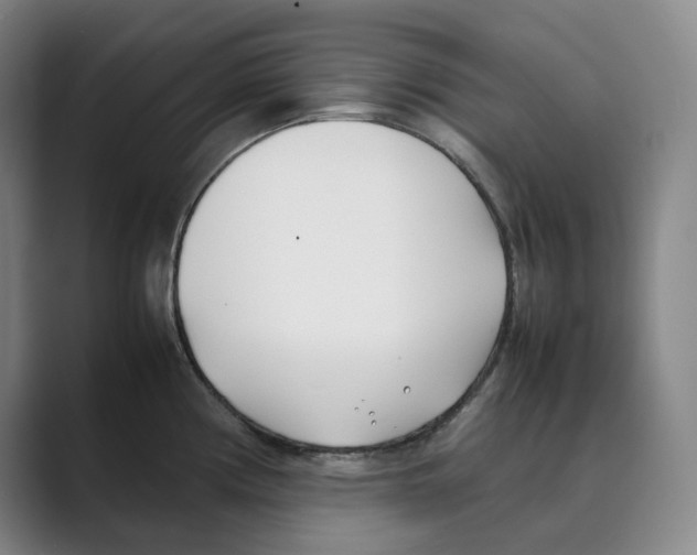 X0000088681194200706281936