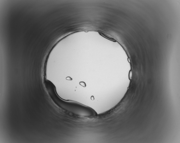 X0000088681195200706281936