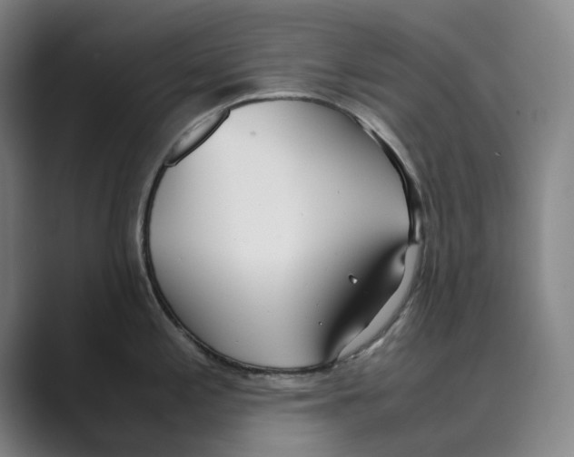 X0000088681197200706281936