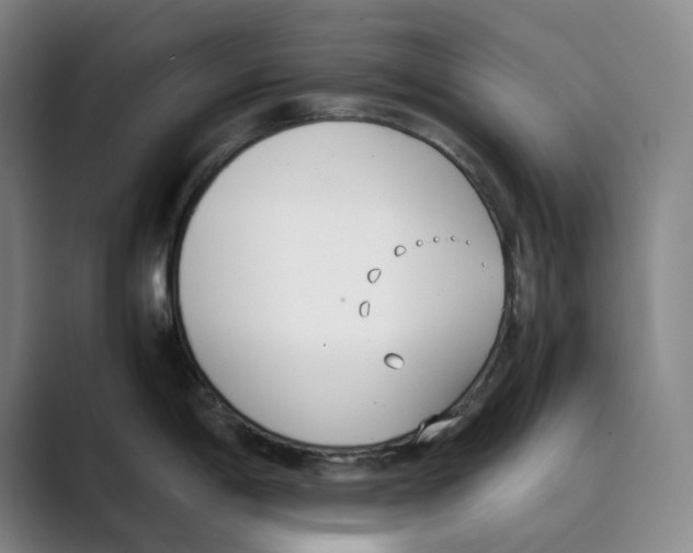 X0000088681198200706281936