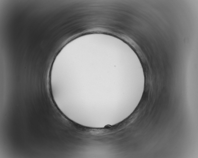 X0000088681199200706281936