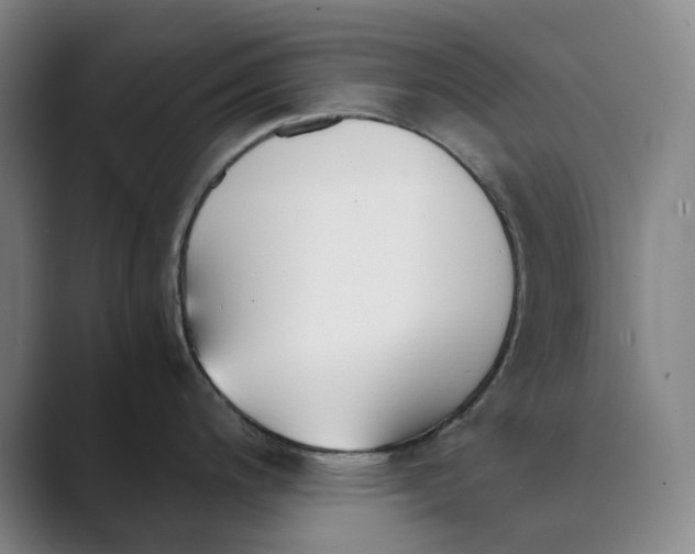 X0000088681200200706281936