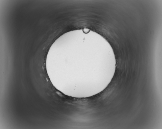 X0000088681201200706281935