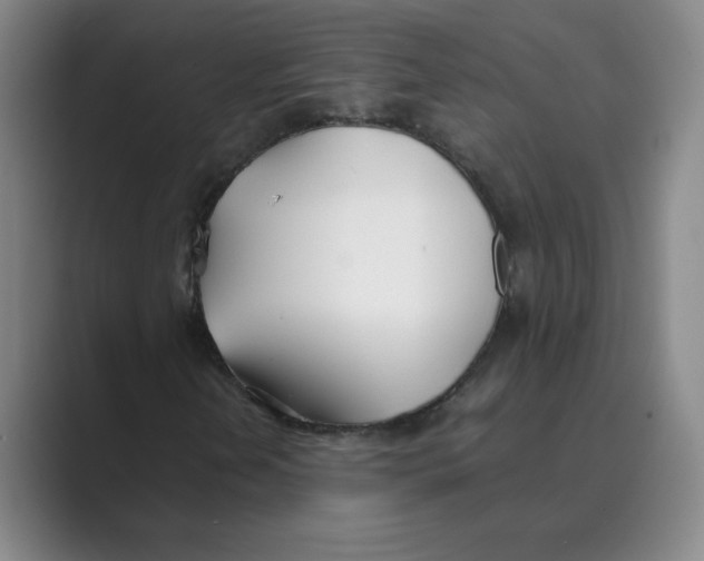 X0000088681202200706281935