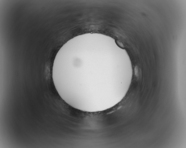 X0000088681203200706281935