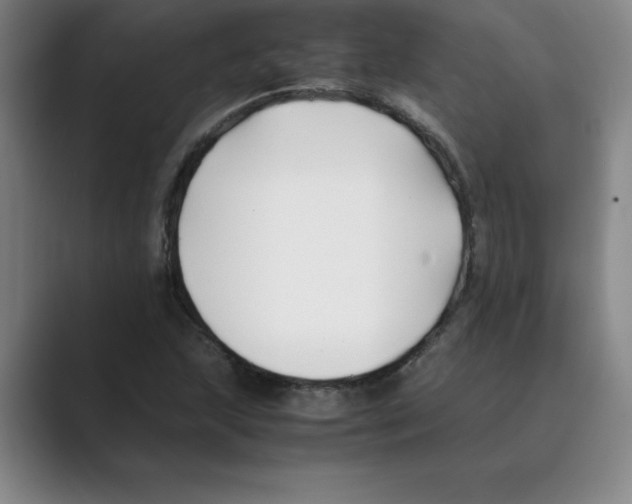 X0000088681215200706281935