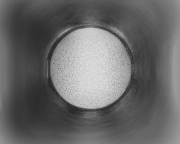 X0000088681223200706281935