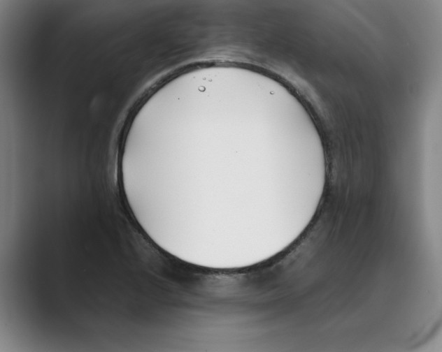 X0000088681224200706281936