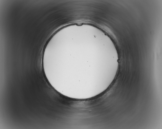 X0000088681228200706281936