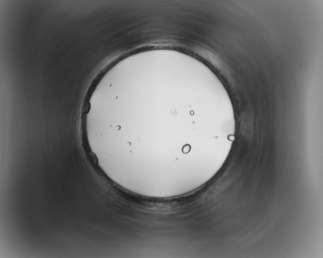 X0000088681229200706281936