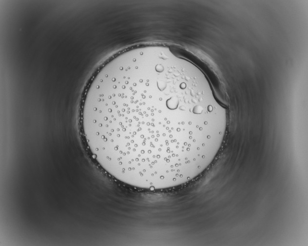 X0000088681231200706281936