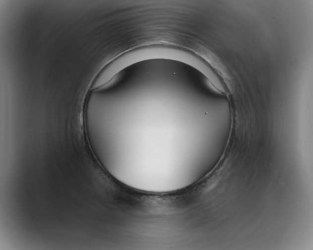 X0000088681234200706281936