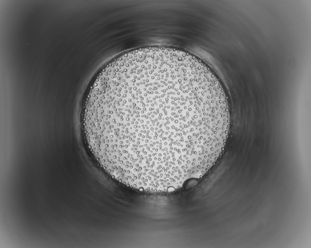 X0000088681235200706281936