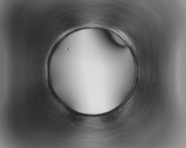 X0000088681238200706281936