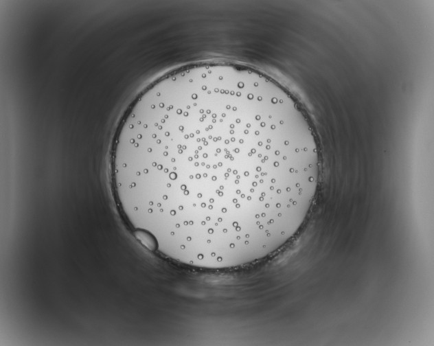 X0000088681239200706281936