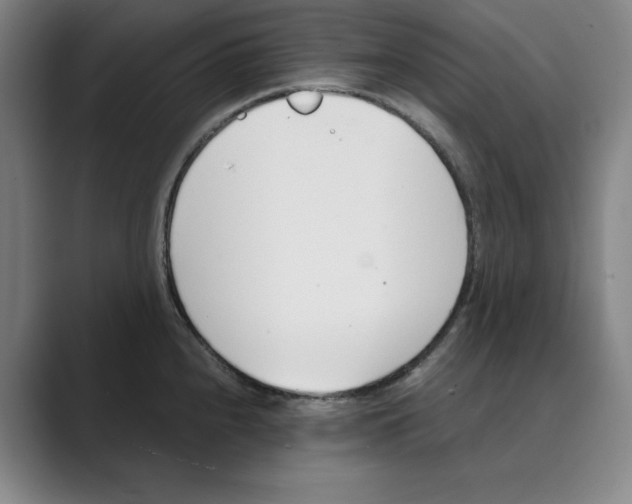 X0000088681240200706281936