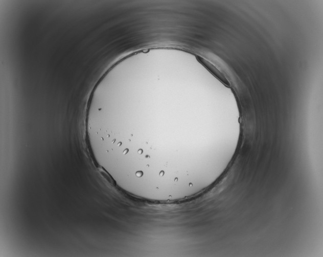 X0000088681244200706281936