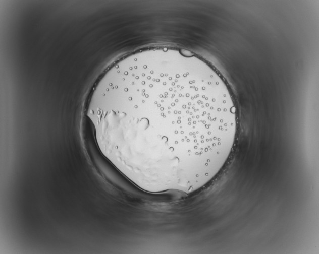 X0000088681245200706281936