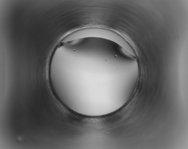 X0000088681246200706281936