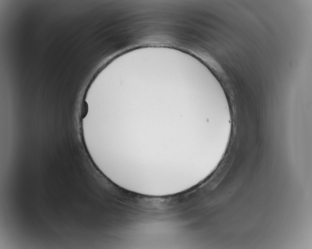 X0000088681248200706281936