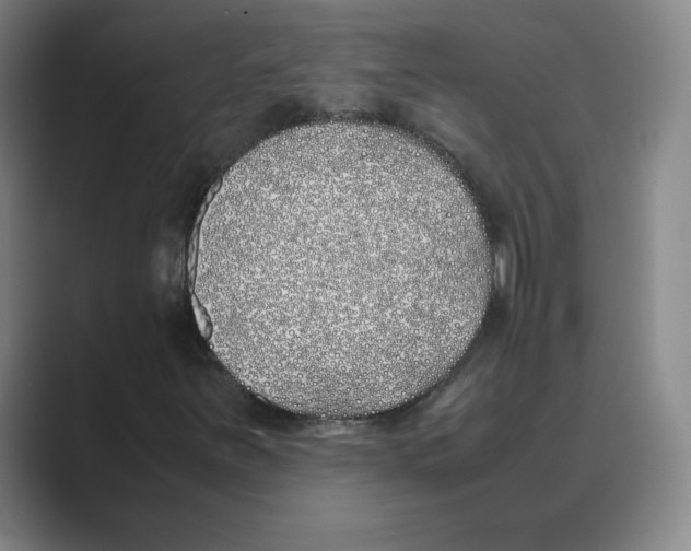 X0000088681251200706281935