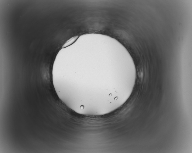 X0000088681252200706281935