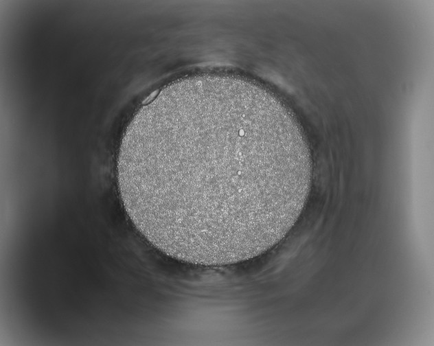 X0000088681255200706281935