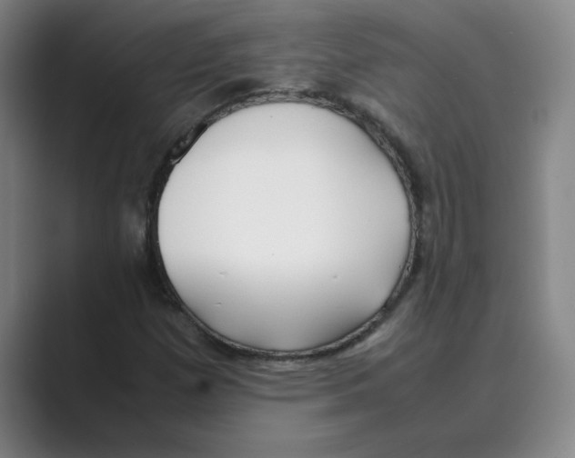 X0000088681257200706281935