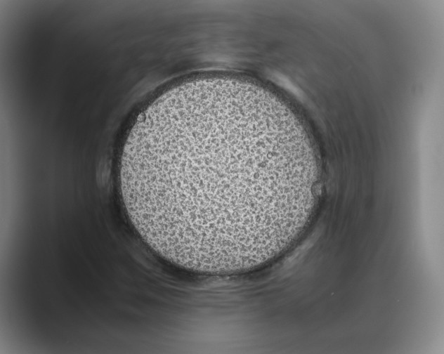 X0000088681259200706281935