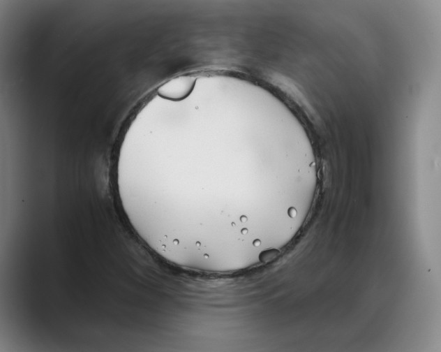 X0000088681260200706281935