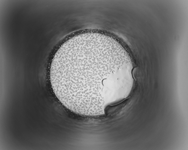 X0000088681263200706281935