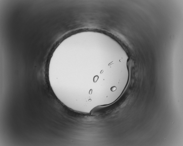 X0000088681264200706281935