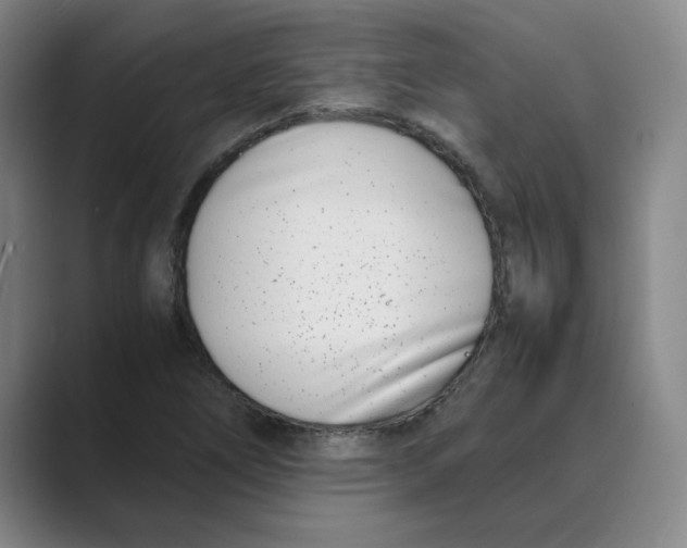 X0000088681266200706281935