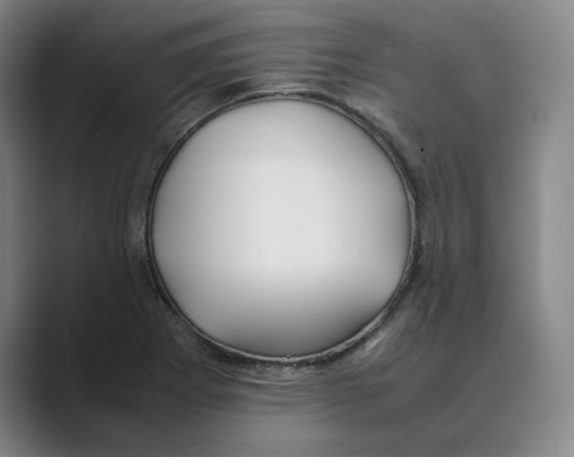 X0000088681273200706281935