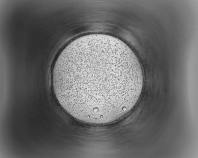 X0000088681275200706281935