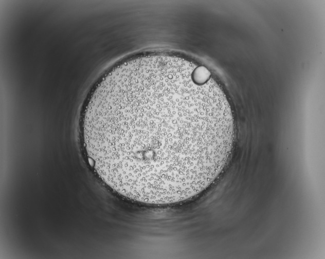 X0000088681279200706281935