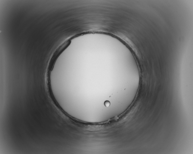 X0000088681285200706281935