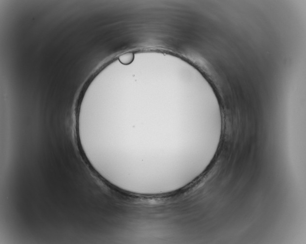 X0000088681286200706281935