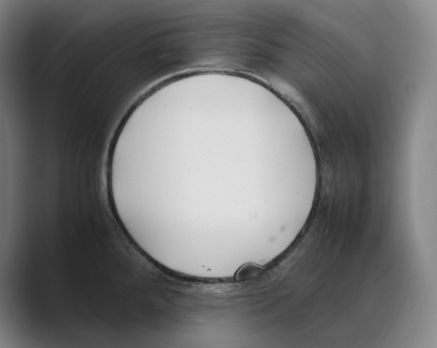 X0000088681288200706281935