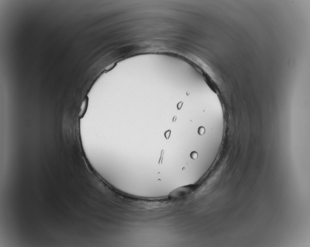 X0000088681289200706281935