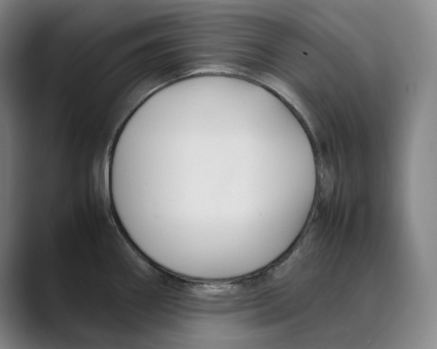 X0000088681290200706281935