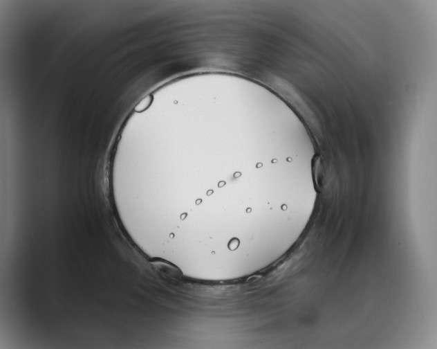 X0000088681292200706281935