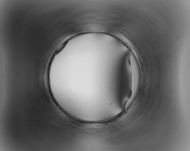 X0000088681293200706281935