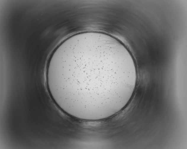 X0000088681294200706281935