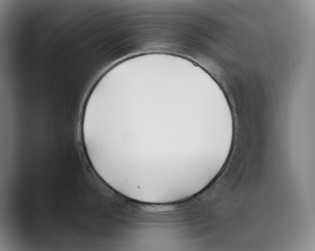 X0000088681296200706281935