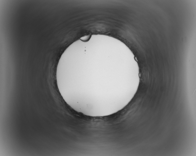 X0000088681297200706281934