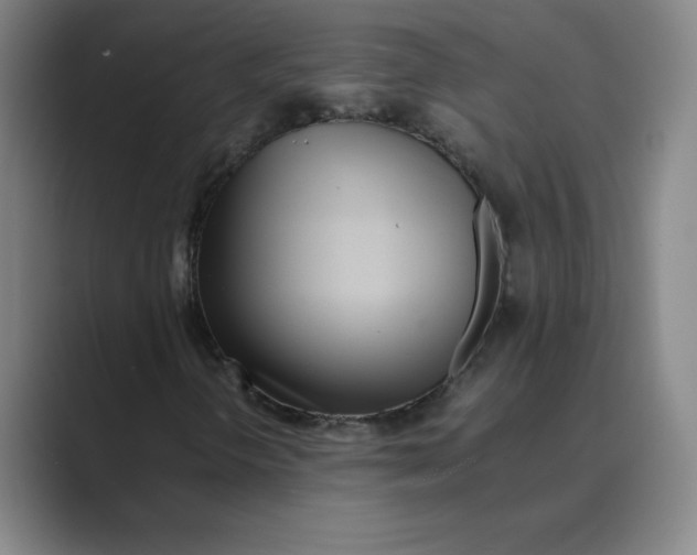 X0000088681298200706281934