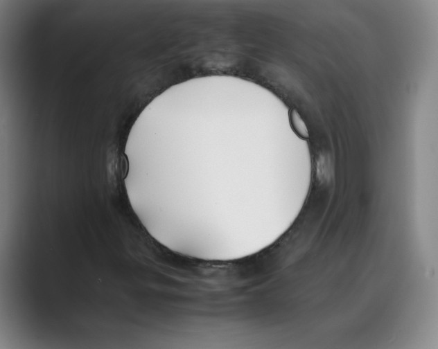 X0000088681299200706281934